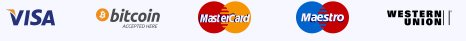 Accepted payment methods including Visa, Mastercard, Maestro, Bitcoin, and Western Union