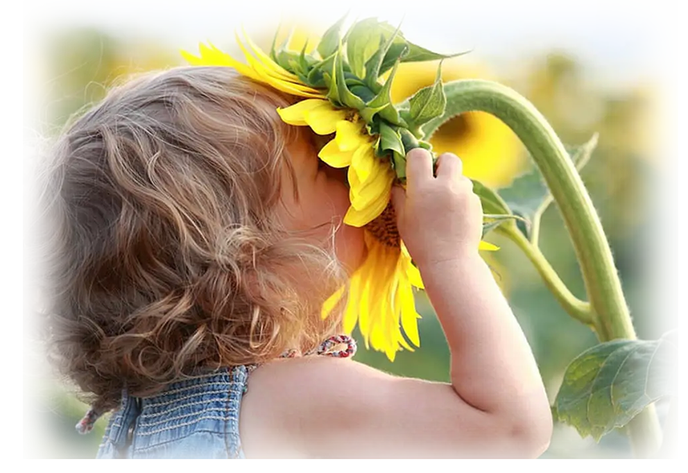 Child smelling a flower outdoors